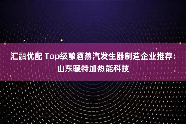 汇融优配 Top级酿酒蒸汽发生器制造企业推荐：山东暖特加热能科技