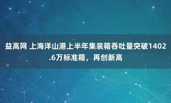 益高网 上海洋山港上半年集装箱吞吐量突破1402.6万标准箱，再创新高