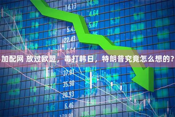 加配网 放过欧盟，毒打韩日，特朗普究竟怎么想的？